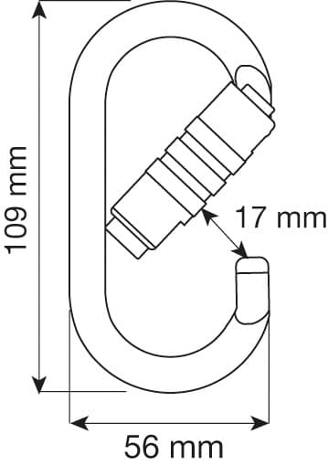 CAMP Steel Oval Pro 2Lock_2